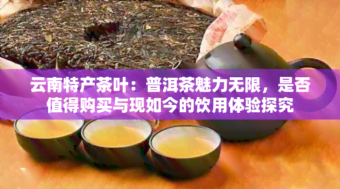 云南特产茶叶：普洱茶魅力无限，是否值得购买与现如今的饮用体验探究