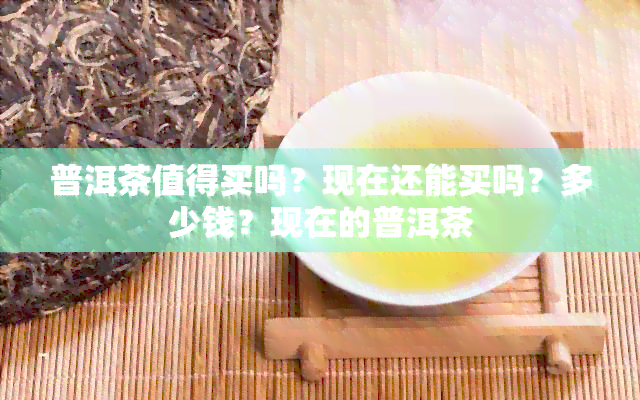 普洱茶值得买吗？现在还能买吗？多少钱？现在的普洱茶