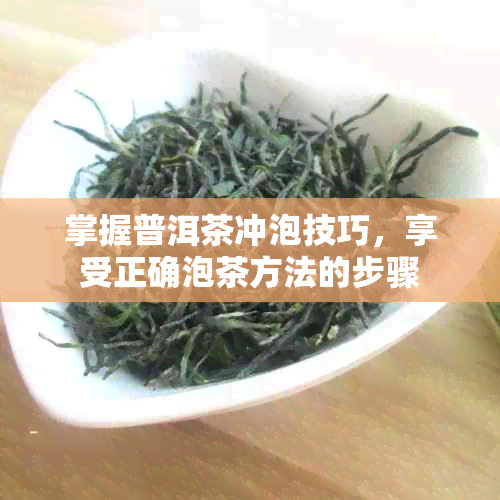 掌握普洱茶冲泡技巧，享受正确泡茶方法的步骤