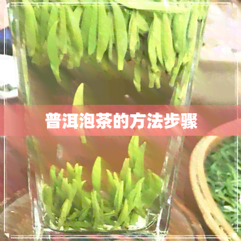 普洱泡茶的方法步骤