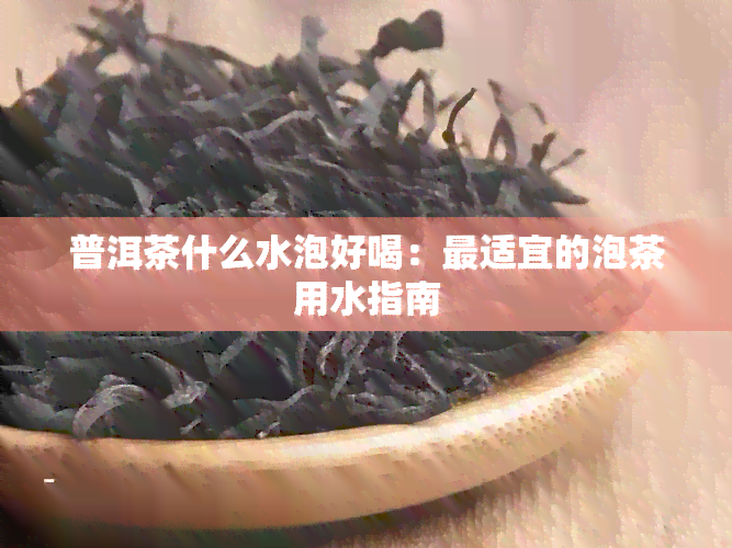 普洱茶什么水泡好喝：最适宜的泡茶用水指南