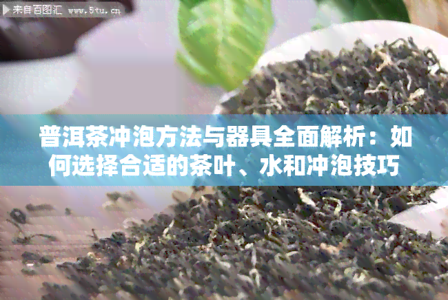 普洱茶冲泡方法与器具全面解析：如何选择合适的茶叶、水和冲泡技巧