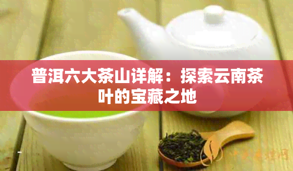 普洱六大茶山详解：探索云南茶叶的宝藏之地