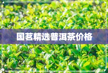 国茗精选普洱茶价格