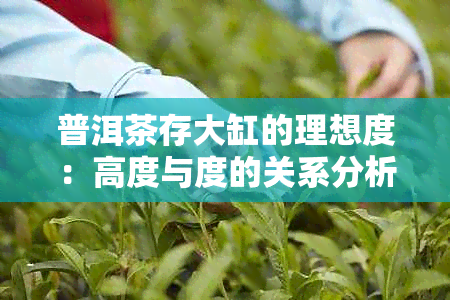 普洱茶存大缸的理想度：高度与度的关系分析