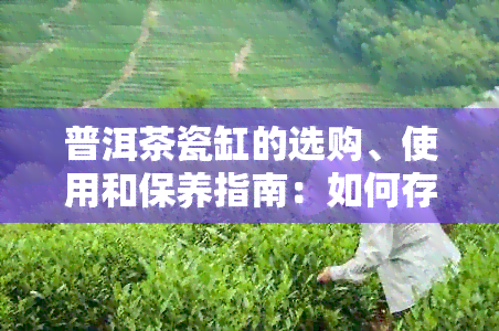 普洱茶瓷缸的选购、使用和保养指南：如何存放普洱茶以保持其品质和风味