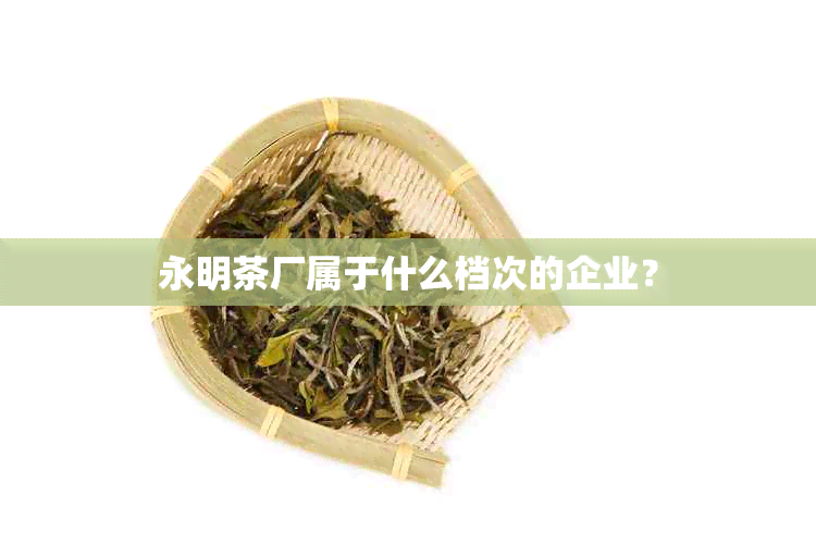 永明茶厂属于什么档次的企业？