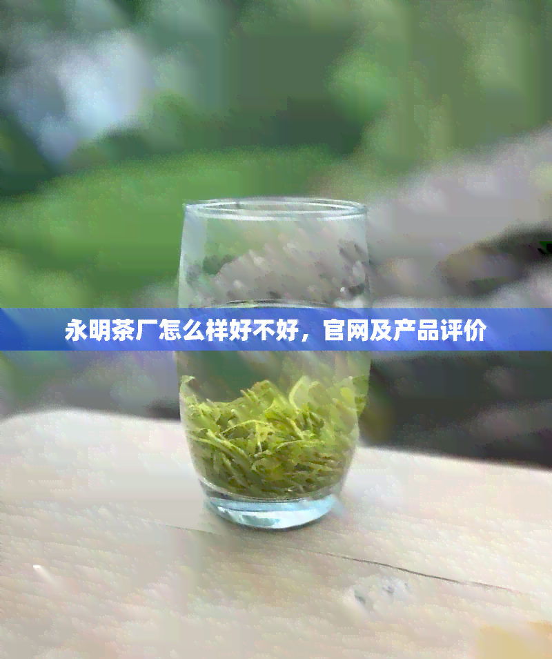 永明茶厂怎么样好不好，官网及产品评价