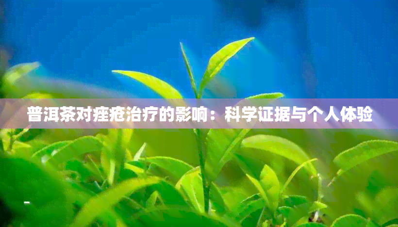 普洱茶对痤疮治疗的影响：科学证据与个人体验