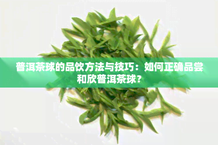 普洱茶球的品饮方法与技巧：如何正确品尝和欣普洱茶球？