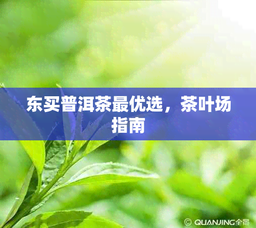 东买普洱茶更优选，茶叶场指南