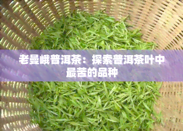 老曼峨普洱茶：探索普洱茶叶中最苦的品种