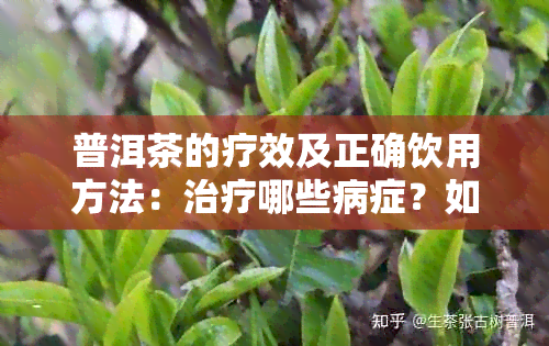 普洱茶的疗效及正确饮用方法：治疗哪些病症？如何喝才能发挥效果？