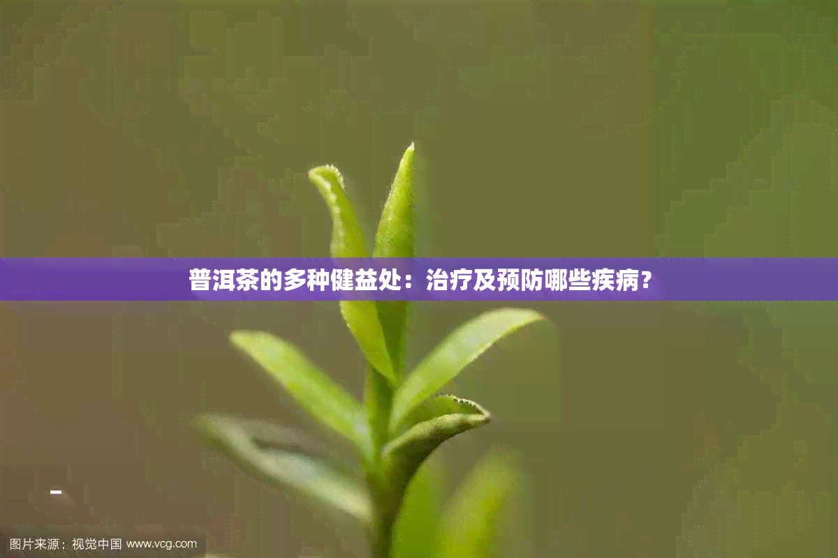 普洱茶的多种健益处：治疗及预防哪些疾病？