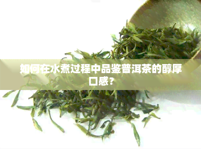 如何在水煮过程中品鉴普洱茶的醇厚口感？