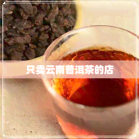 只卖云南普洱茶的店