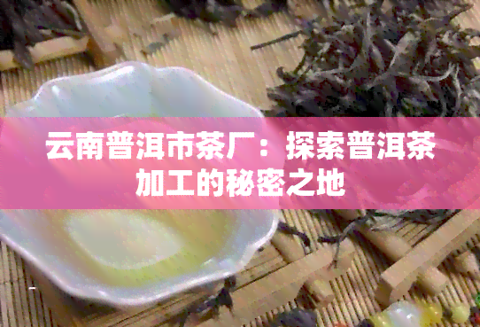 云南普洱市茶厂：探索普洱茶加工的秘密之地