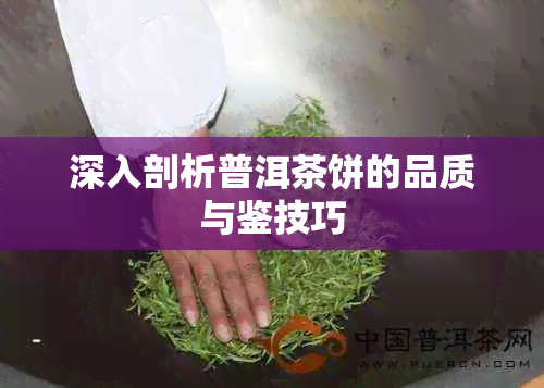 深入剖析普洱茶饼的品质与鉴技巧