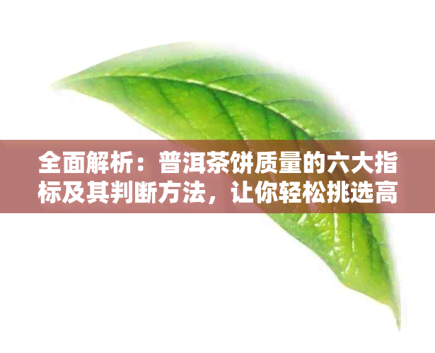 全面解析：普洱茶饼质量的六大指标及其判断方法，让你轻松挑选高品质普洱茶