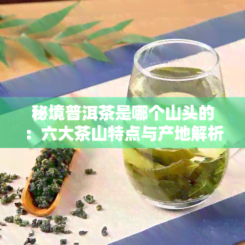 秘境普洱茶是哪个山头的：六大茶山特点与产地解析