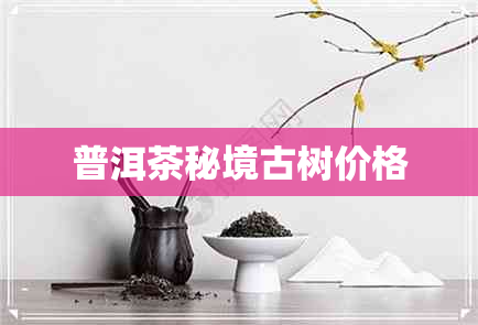 普洱茶秘境古树价格