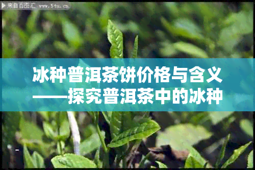 冰种普洱茶饼价格与含义——探究普洱茶中的冰种