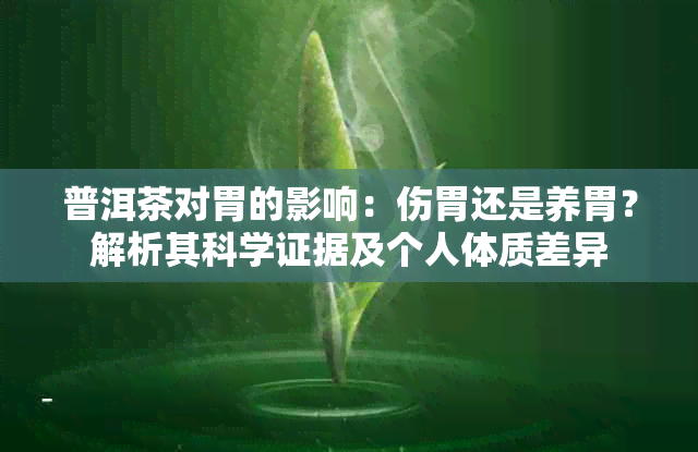 普洱茶对胃的影响：伤胃还是养胃？解析其科学证据及个人体质差异