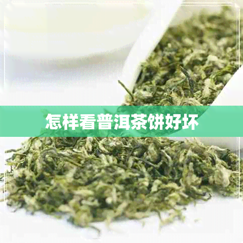 怎样看普洱茶饼好坏