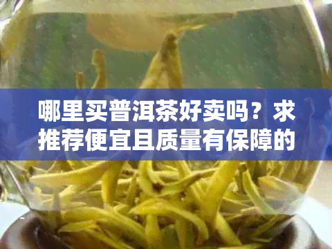 哪里买普洱茶好卖吗？求推荐便宜且质量有保障的购买渠道。