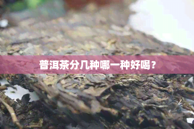 普洱茶分几种哪一种好喝？