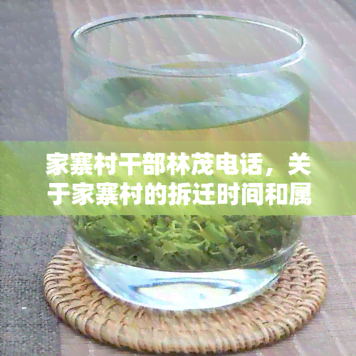 家寨村干部林茂电话，关于家寨村的拆迁时间和属于哪个社区的信息。