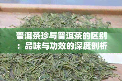 普洱茶珍与普洱茶的区别：品味与功效的深度剖析