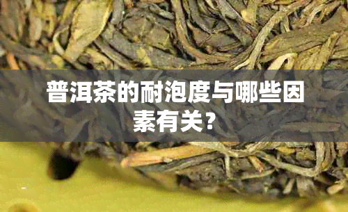 普洱茶的耐泡度与哪些因素有关？