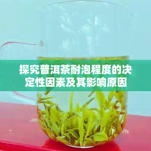 探究普洱茶耐泡程度的决定性因素及其影响原因