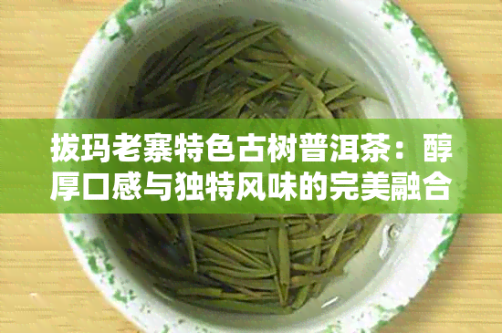 拔玛老寨特色古树普洱茶：醇厚口感与独特风味的完美融合