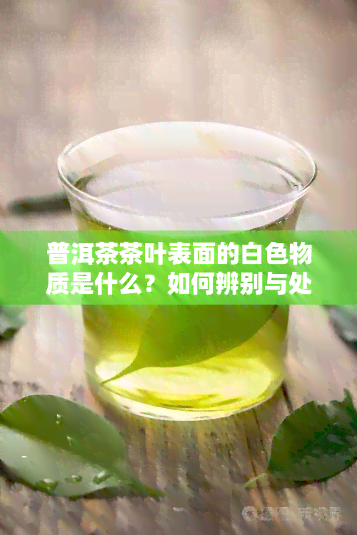 普洱茶茶叶表面的白色物质是什么？如何辨别与处理？