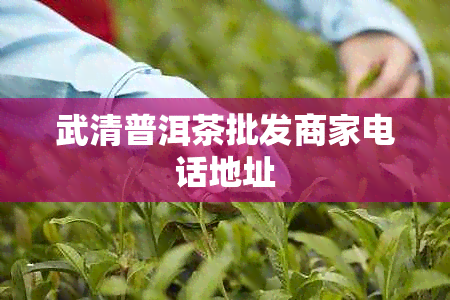 武清普洱茶批发商家电话地址