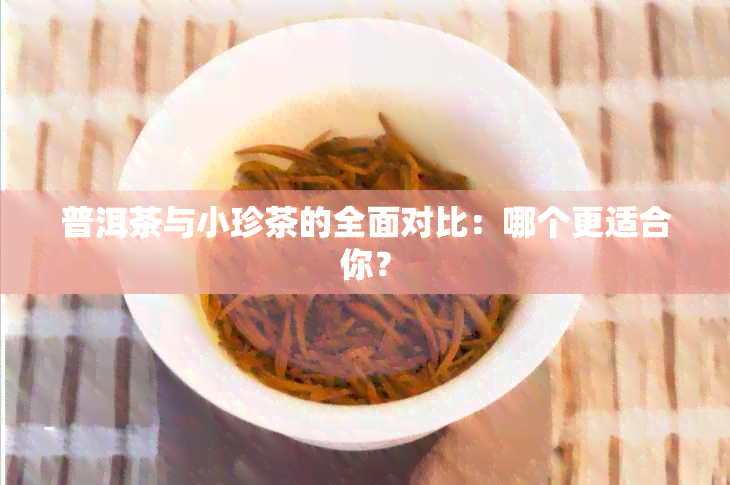 普洱茶与小珍茶的全面对比：哪个更适合你？