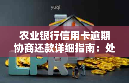 农业银行信用卡逾期协商还款详细指南：处理流程与应对策略