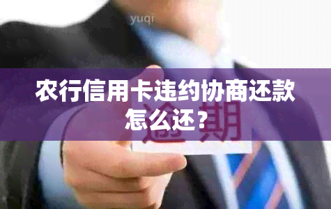 农行信用卡违约协商还款怎么还？