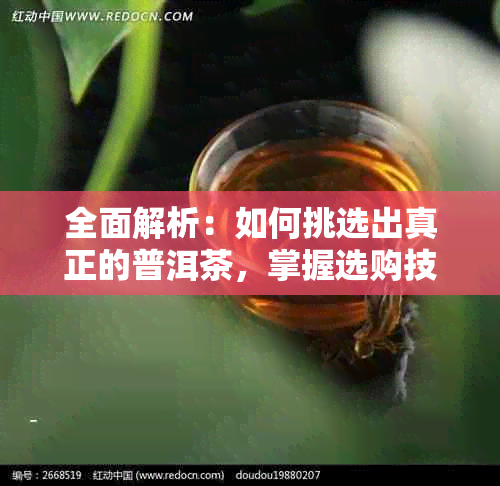 全面解析：如何挑选出真正的普洱茶，掌握选购技巧和推荐