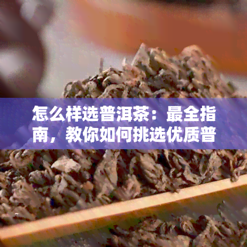 怎么样选普洱茶：最全指南，教你如何挑选优质普洱茶