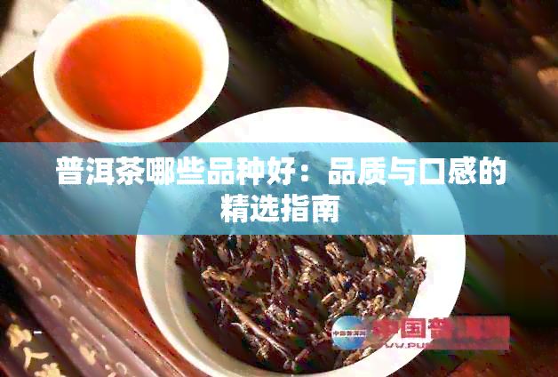 普洱茶哪些品种好：品质与口感的精选指南