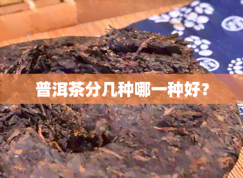 普洱茶分几种哪一种好？