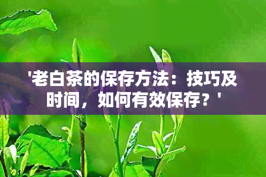 '老白茶的保存方法：技巧及时间，如何有效保存？'