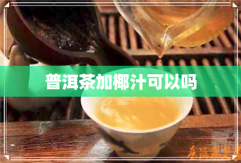 普洱茶加椰汁可以吗