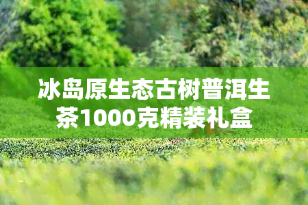 冰岛原生态古树普洱生茶1000克精装礼盒