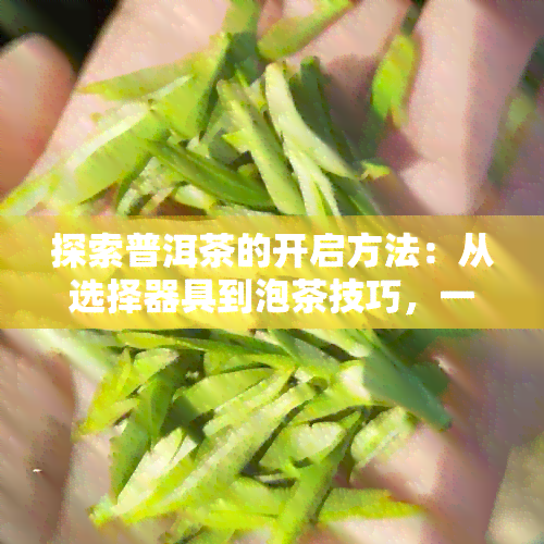 探索普洱茶的开启方法：从选择器具到泡茶技巧，一篇全面指南