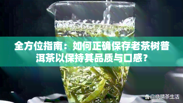 全方位指南：如何正确保存老茶树普洱茶以保持其品质与口感？