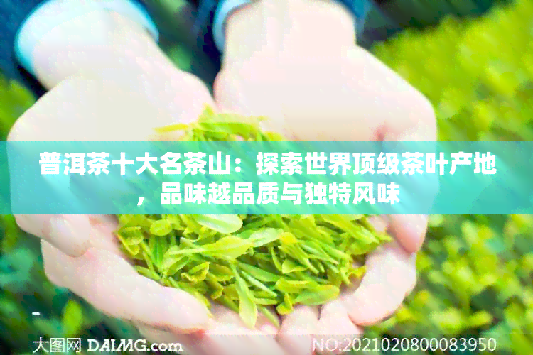 普洱茶十大名茶山：探索世界顶级茶叶产地，品味越品质与独特风味